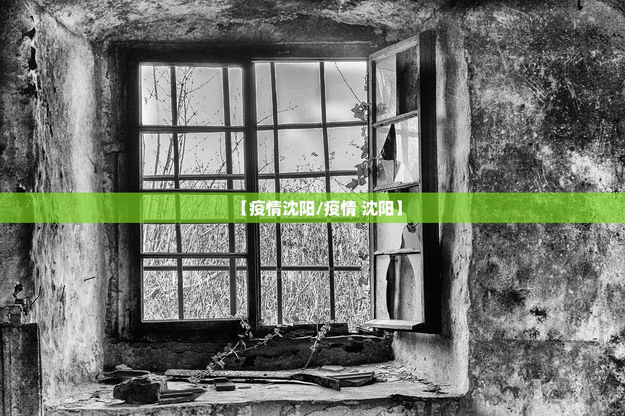 【疫情沈阳/疫情 沈阳】