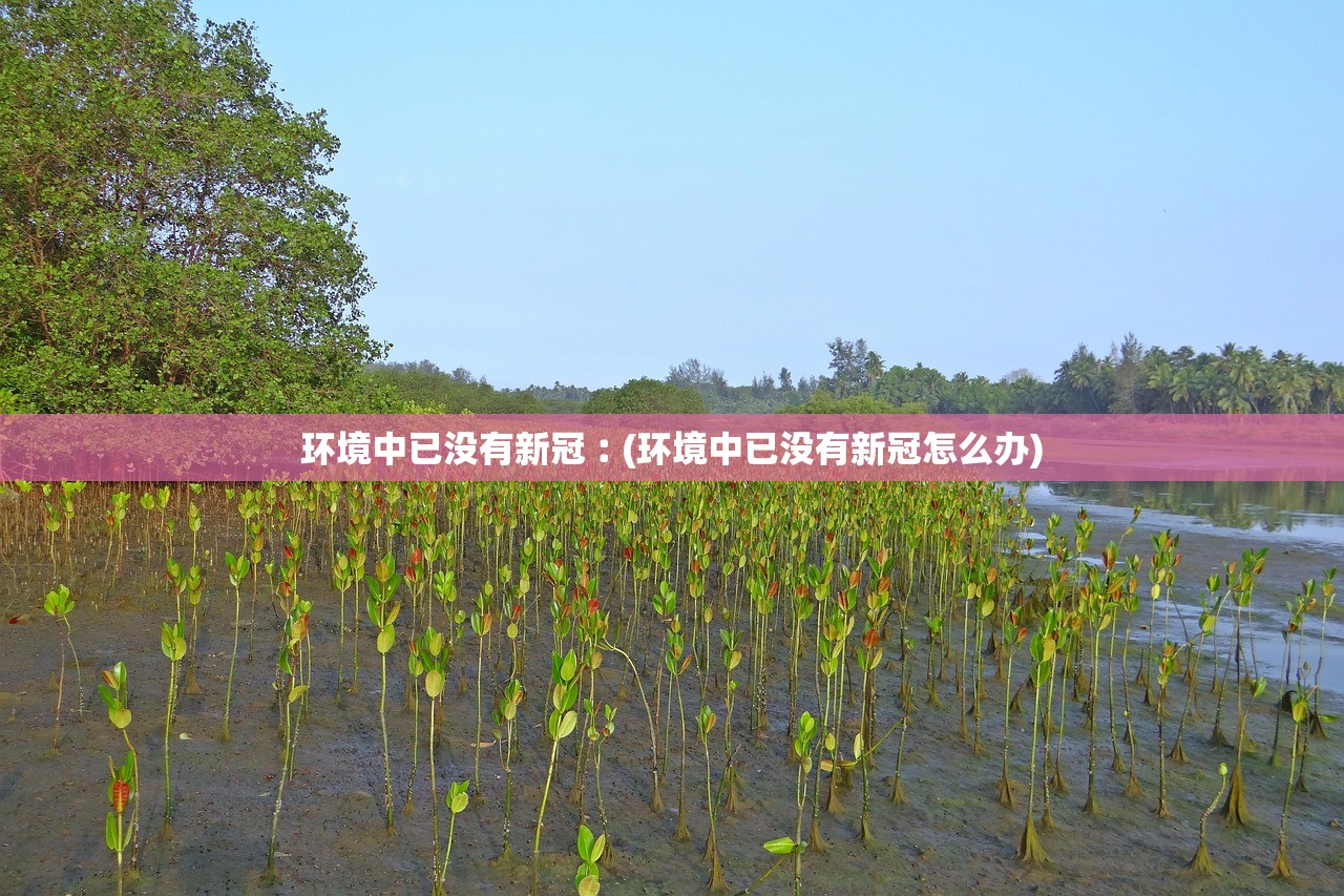 环境中已没有新冠︰(环境中已没有新冠怎么办)