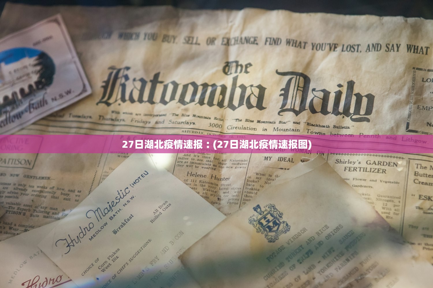 27日湖北疫情速报︰(27日湖北疫情速报图)