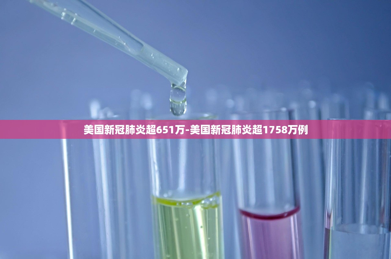 美国新冠肺炎超651万-美国新冠肺炎超1758万例