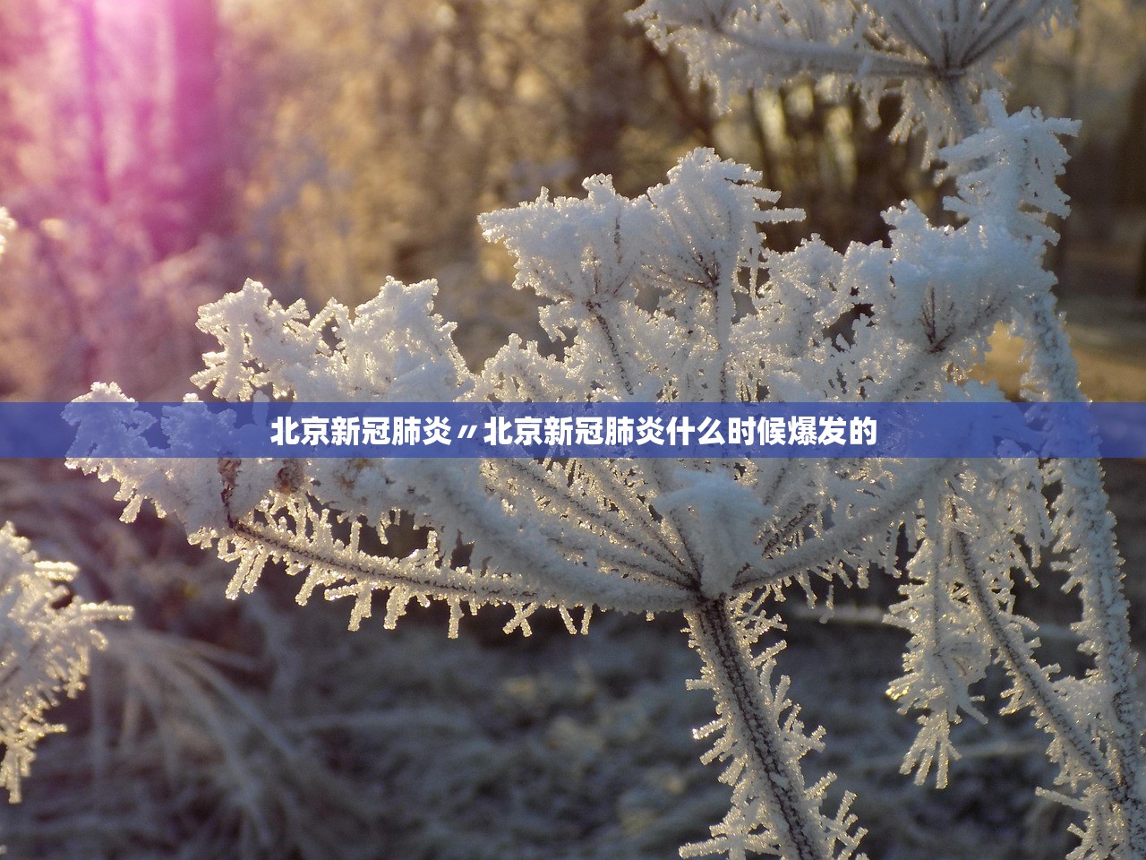 北京新冠肺炎〃北京新冠肺炎什么时候爆发的