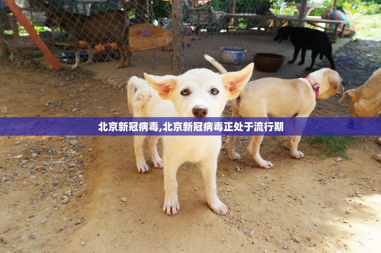 北京新冠病毒,北京新冠病毒正处于流行期