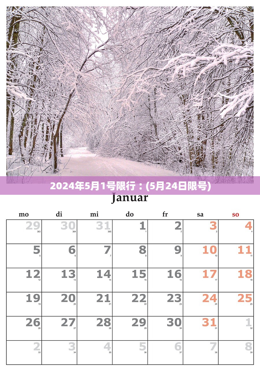 2024年5月1号限行︰(5月24日限号)