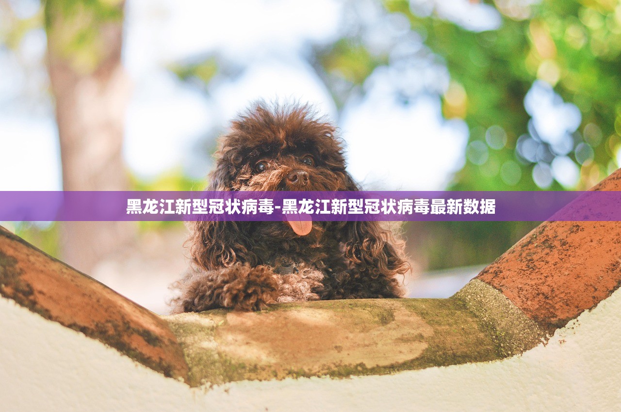 黑龙江新型冠状病毒-黑龙江新型冠状病毒最新数据