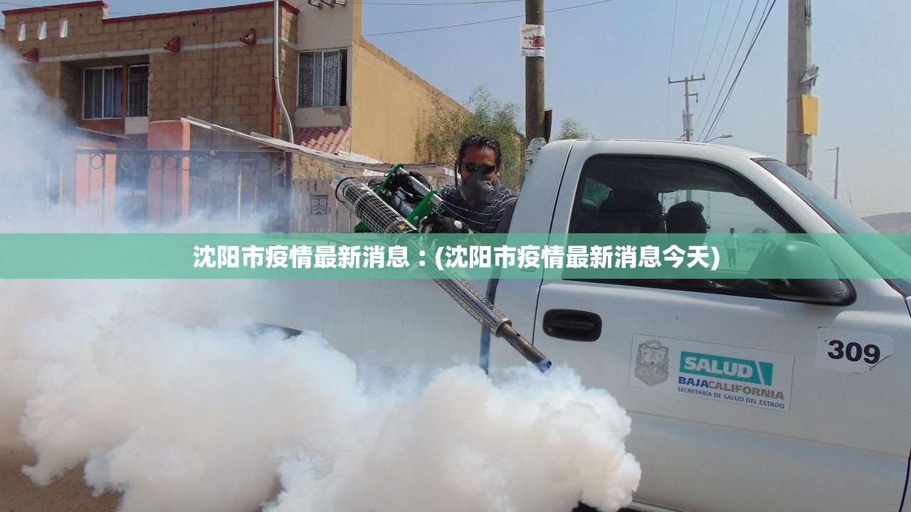 沈阳市疫情最新消息︰(沈阳市疫情最新消息今天)