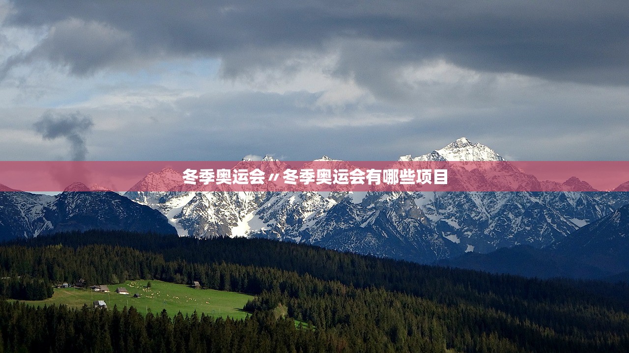 冬季奥运会〃冬季奥运会有哪些项目