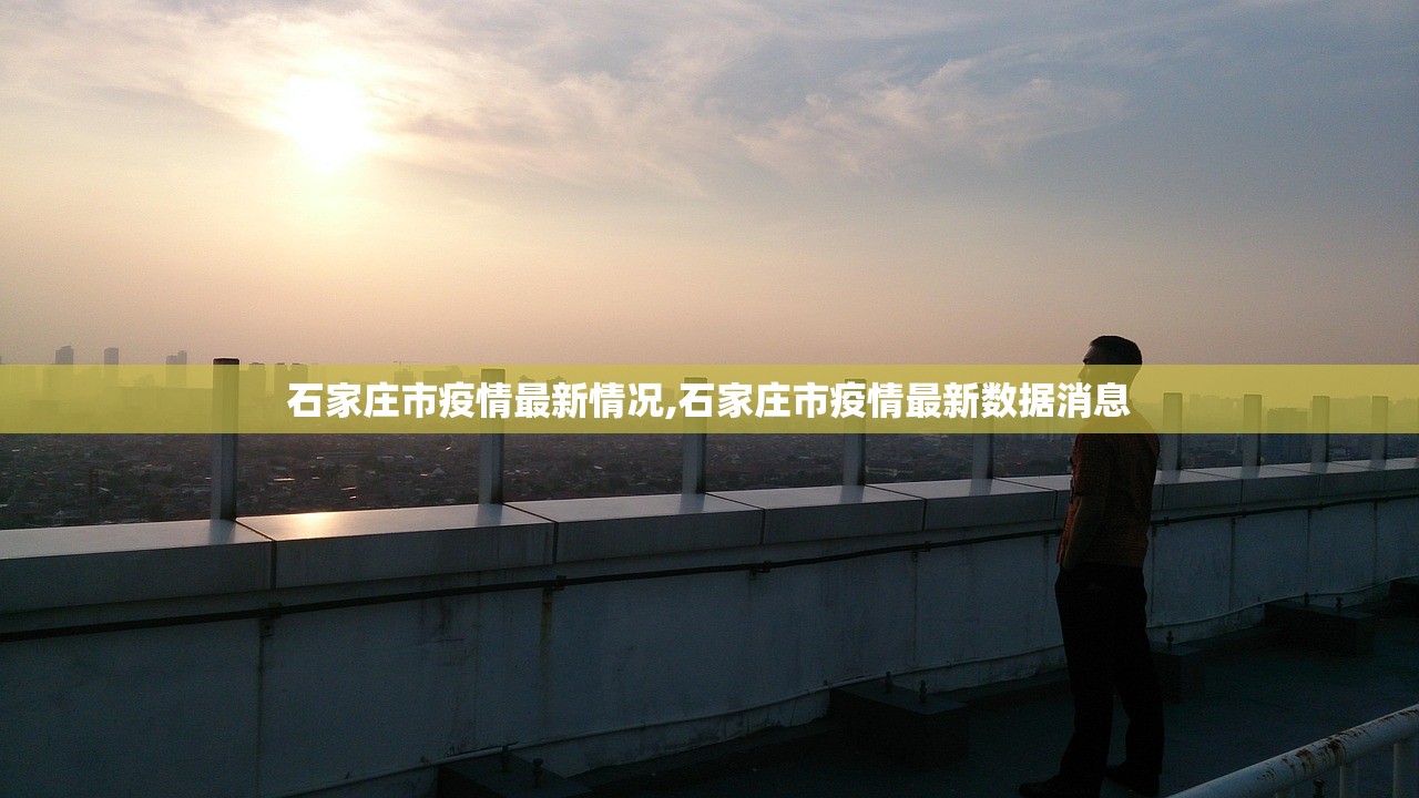 石家庄市疫情最新情况,石家庄市疫情最新数据消息