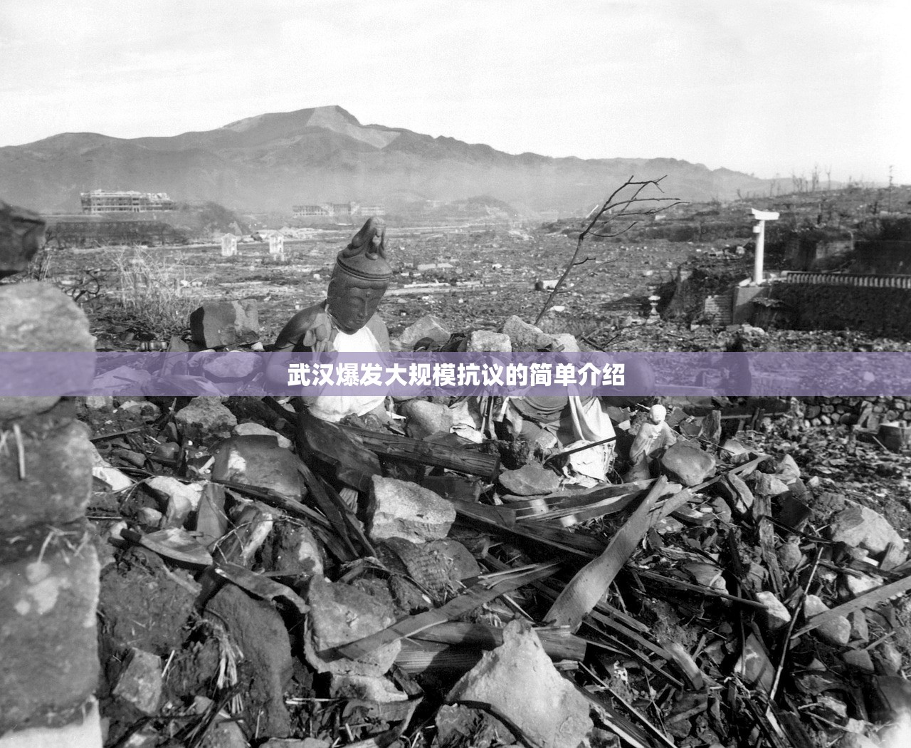 武汉爆发大规模抗议的简单介绍