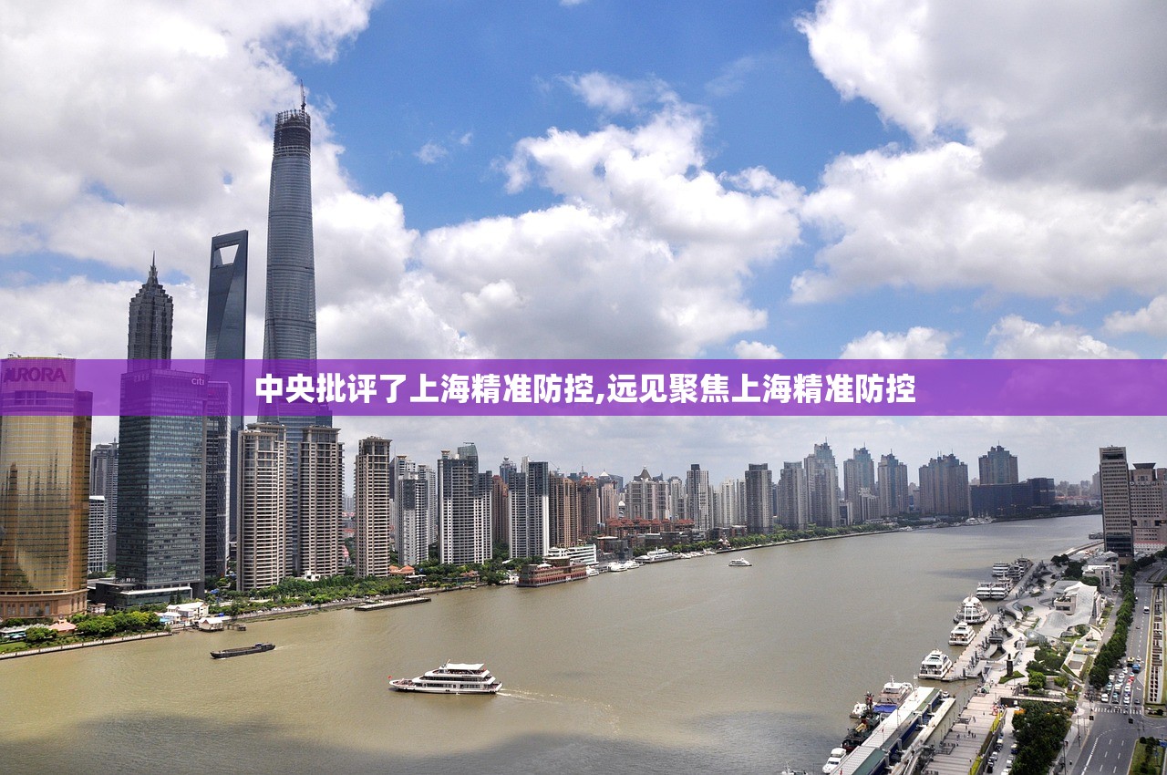 中央批评了上海精准防控,远见聚焦上海精准防控