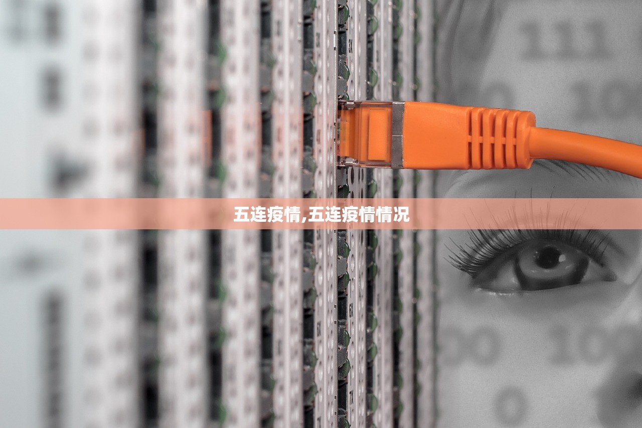 五连疫情,五连疫情情况