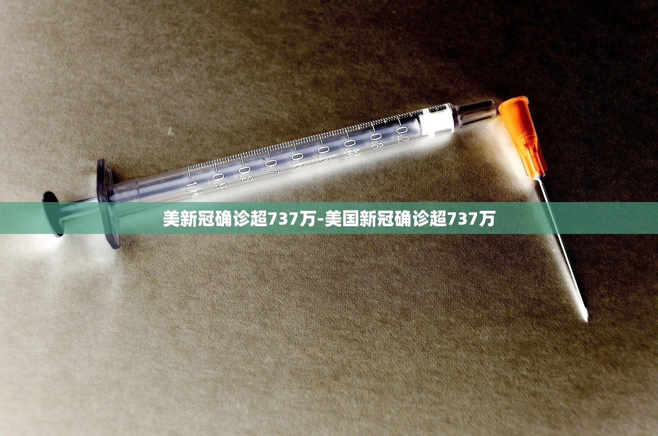 美新冠确诊超737万-美国新冠确诊超737万