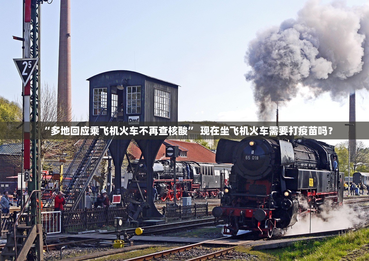 “多地回应乘飞机火车不再查核酸	” 现在坐飞机火车需要打疫苗吗？