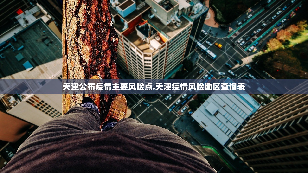 天津公布疫情主要风险点.天津疫情风险地区查询表