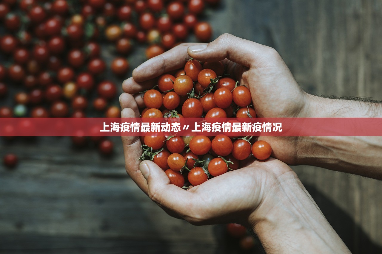 上海疫情最新动态〃上海疫情最新疫情况