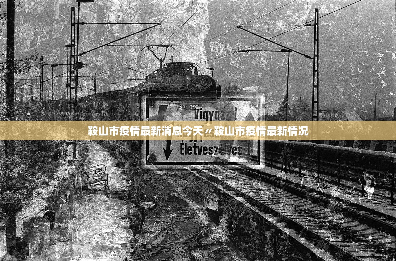 鞍山市疫情最新消息今天〃鞍山市疫情最新情况
