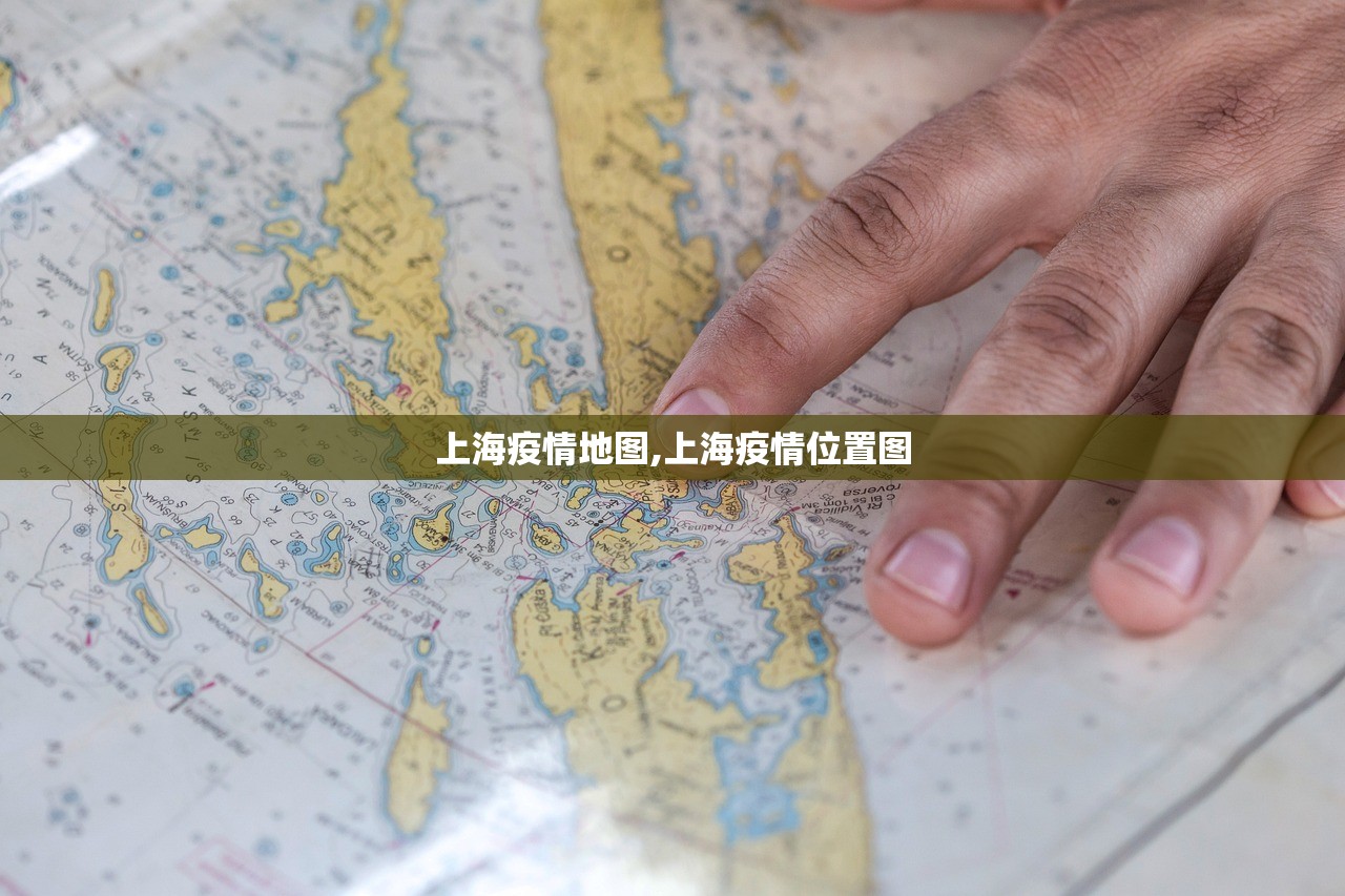 上海疫情地图,上海疫情位置图