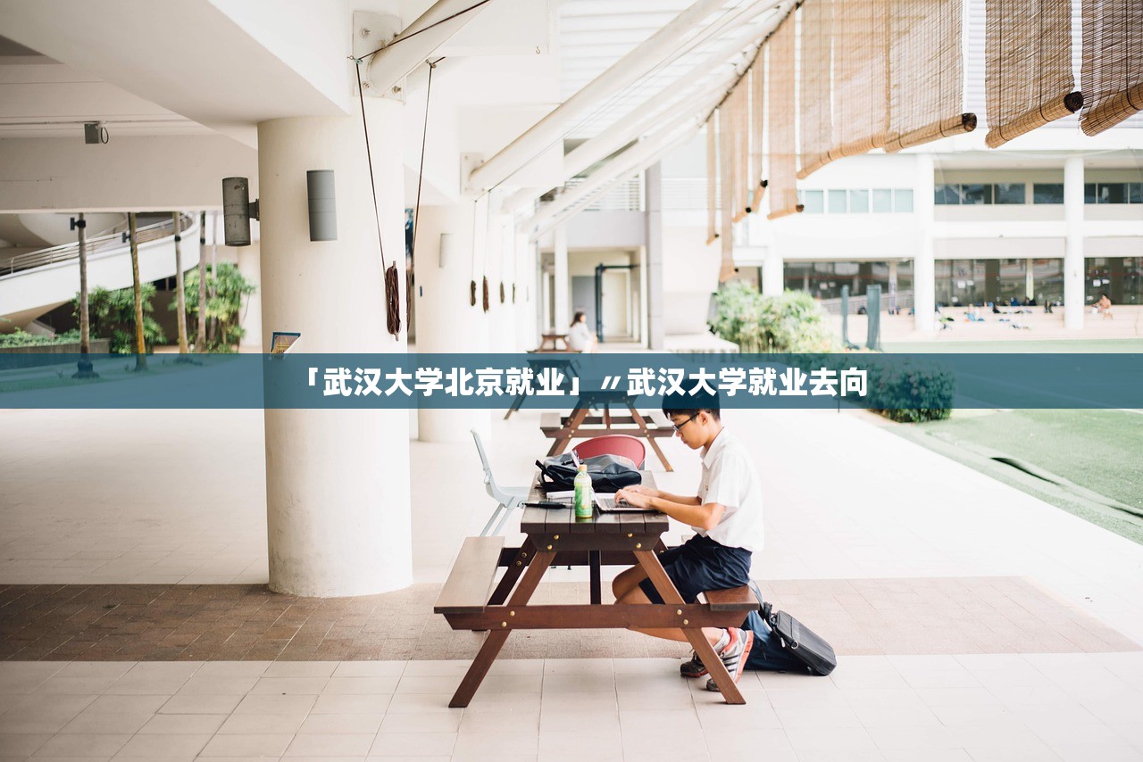 「武汉大学北京就业」〃武汉大学就业去向