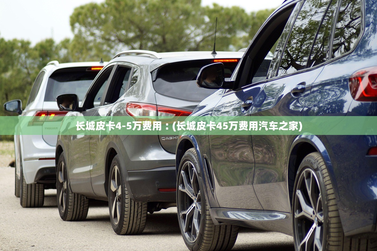 长城皮卡4-5万费用︰(长城皮卡45万费用汽车之家)