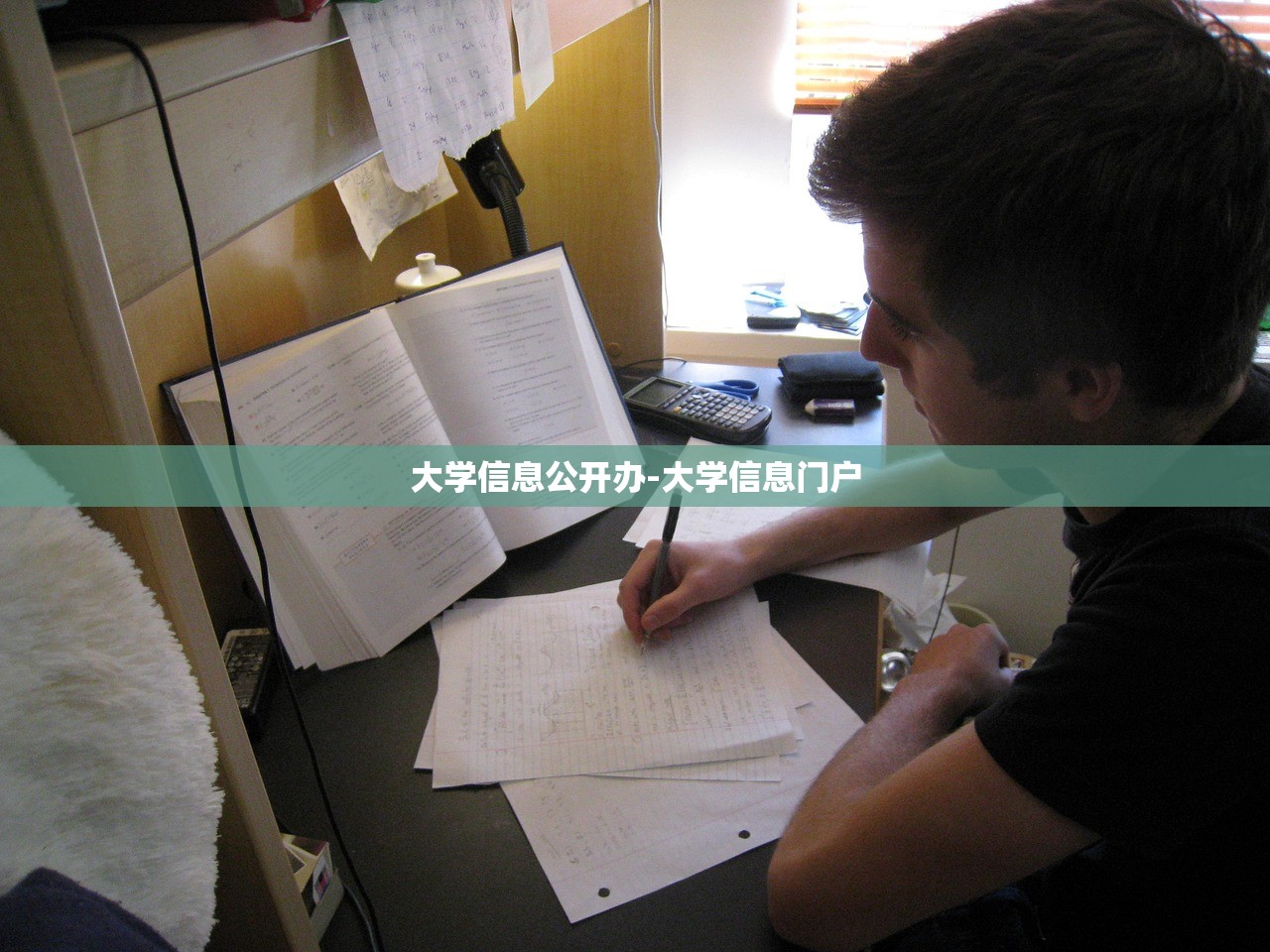 大学信息公开办-大学信息门户