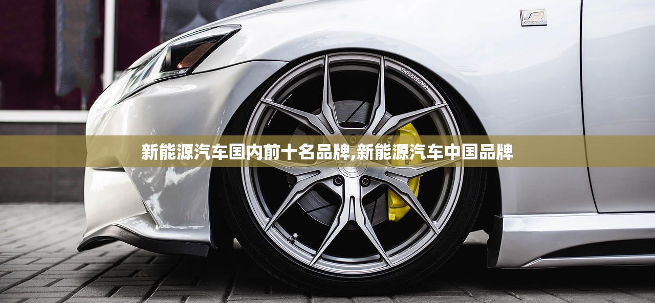 新能源汽车国内前十名品牌,新能源汽车中国品牌