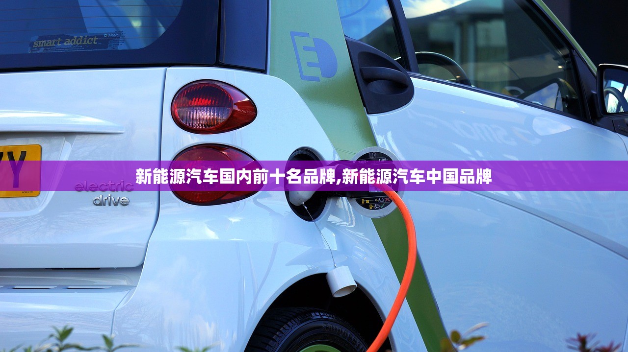 新能源汽车国内前十名品牌,新能源汽车中国品牌