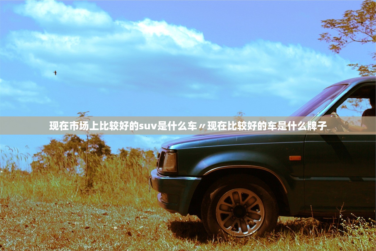 现在市场上比较好的suv是什么车〃现在比较好的车是什么牌子