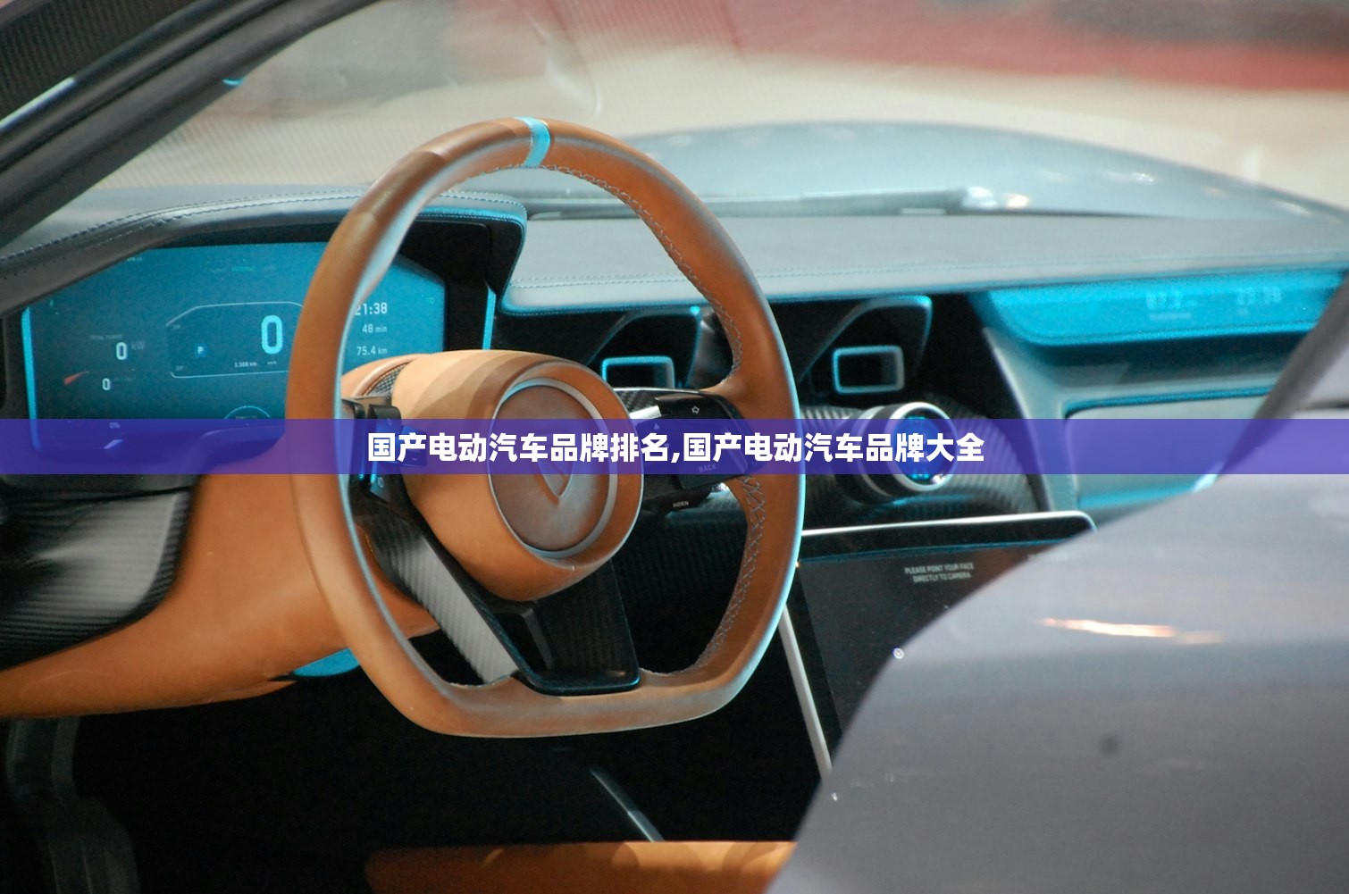 国产电动汽车品牌排名,国产电动汽车品牌大全