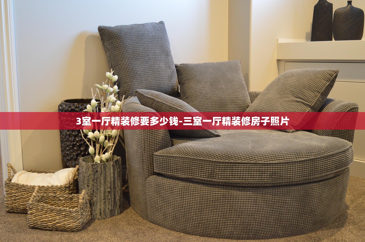 3室一厅精装修要多少钱-三室一厅精装修房子照片