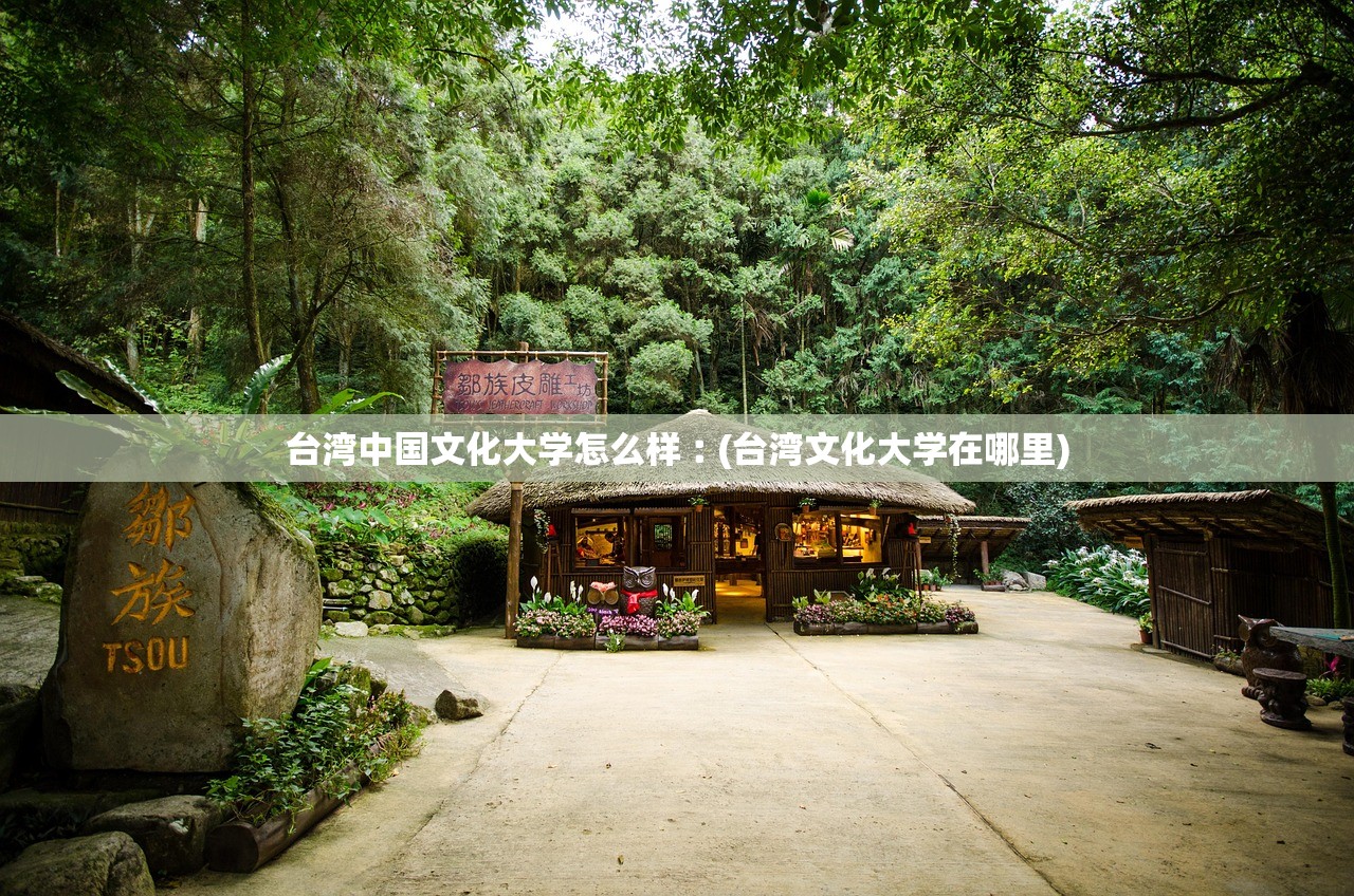 台湾中国文化大学怎么样︰(台湾文化大学在哪里)