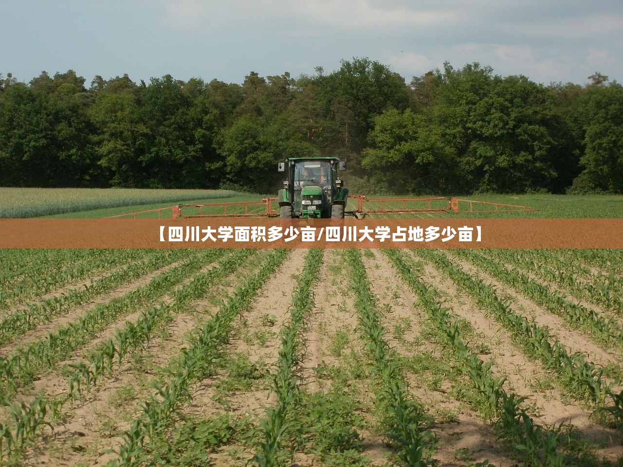 【四川大学面积多少亩/四川大学占地多少亩】