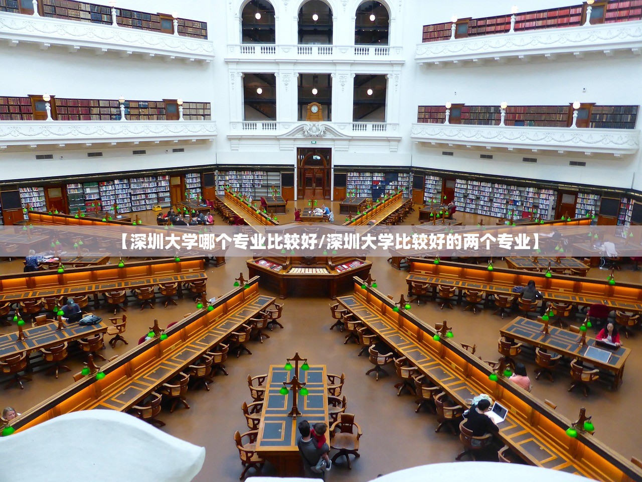 【深圳大学哪个专业比较好/深圳大学比较好的两个专业】
