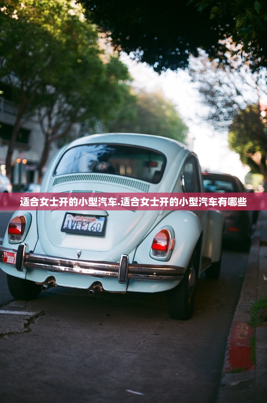 适合女士开的小型汽车.适合女士开的小型汽车有哪些