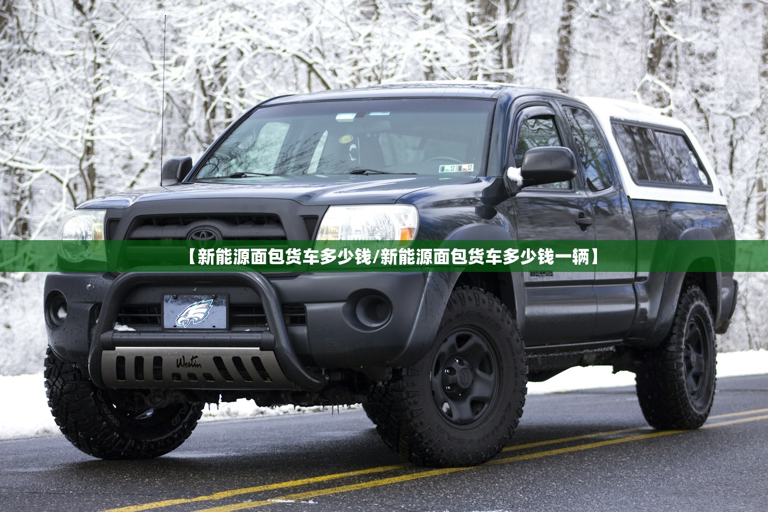 【新能源面包货车多少钱/新能源面包货车多少钱一辆】