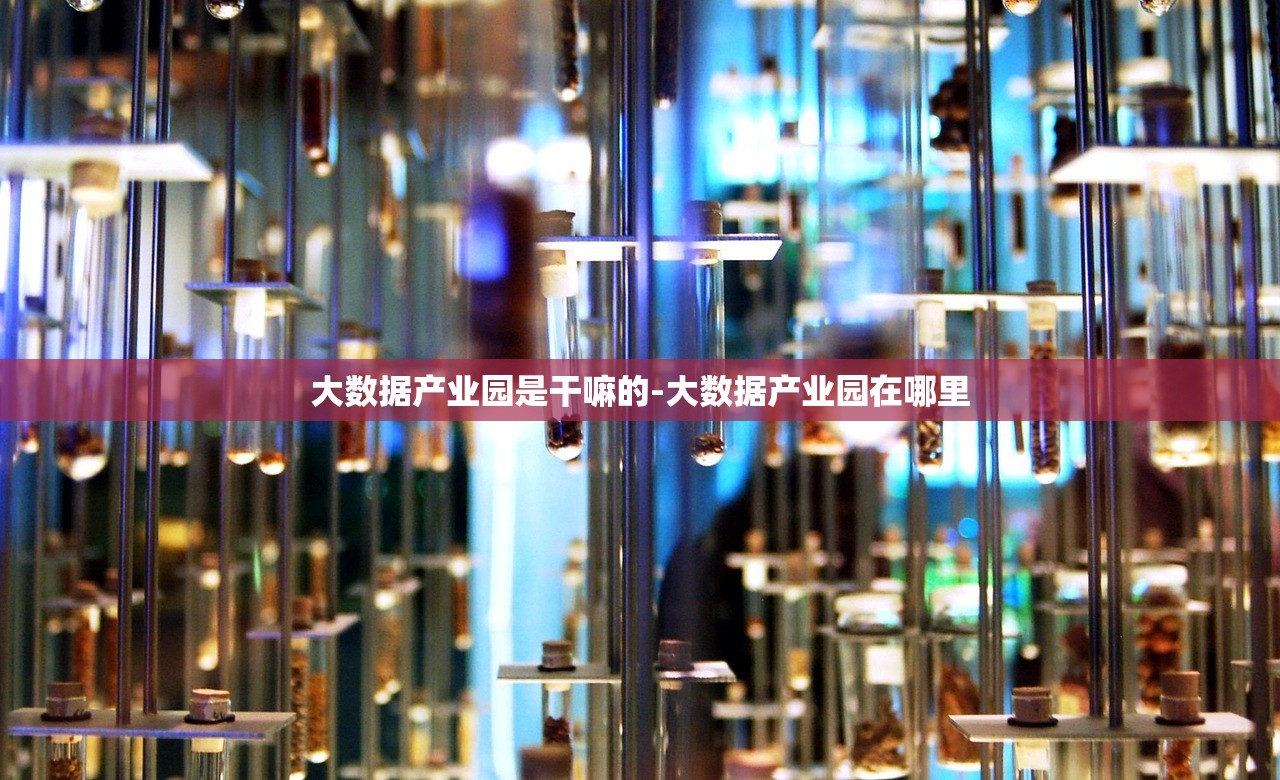 大数据产业园是干嘛的-大数据产业园在哪里
