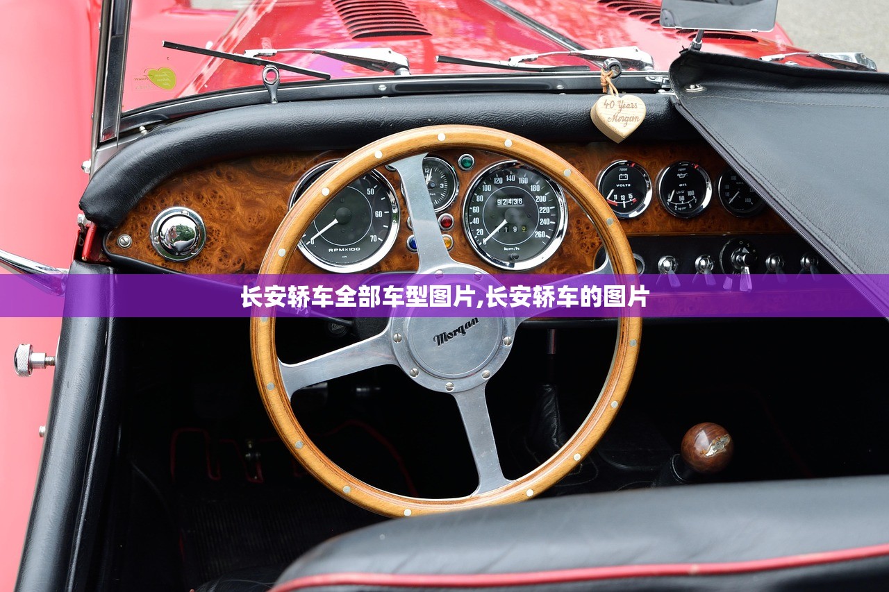 长安轿车全部车型图片,长安轿车的图片