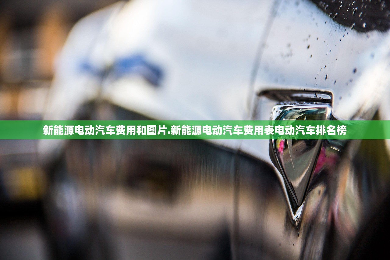 新能源电动汽车费用和图片.新能源电动汽车费用表电动汽车排名榜