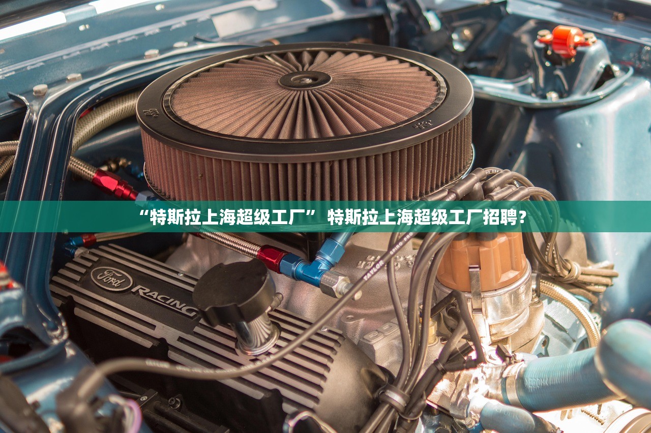 “特斯拉上海超级工厂” 特斯拉上海超级工厂招聘？