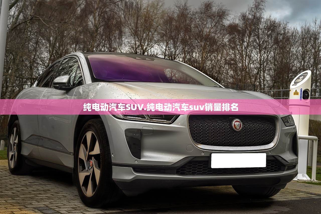 纯电动汽车SUV.纯电动汽车suv销量排名
