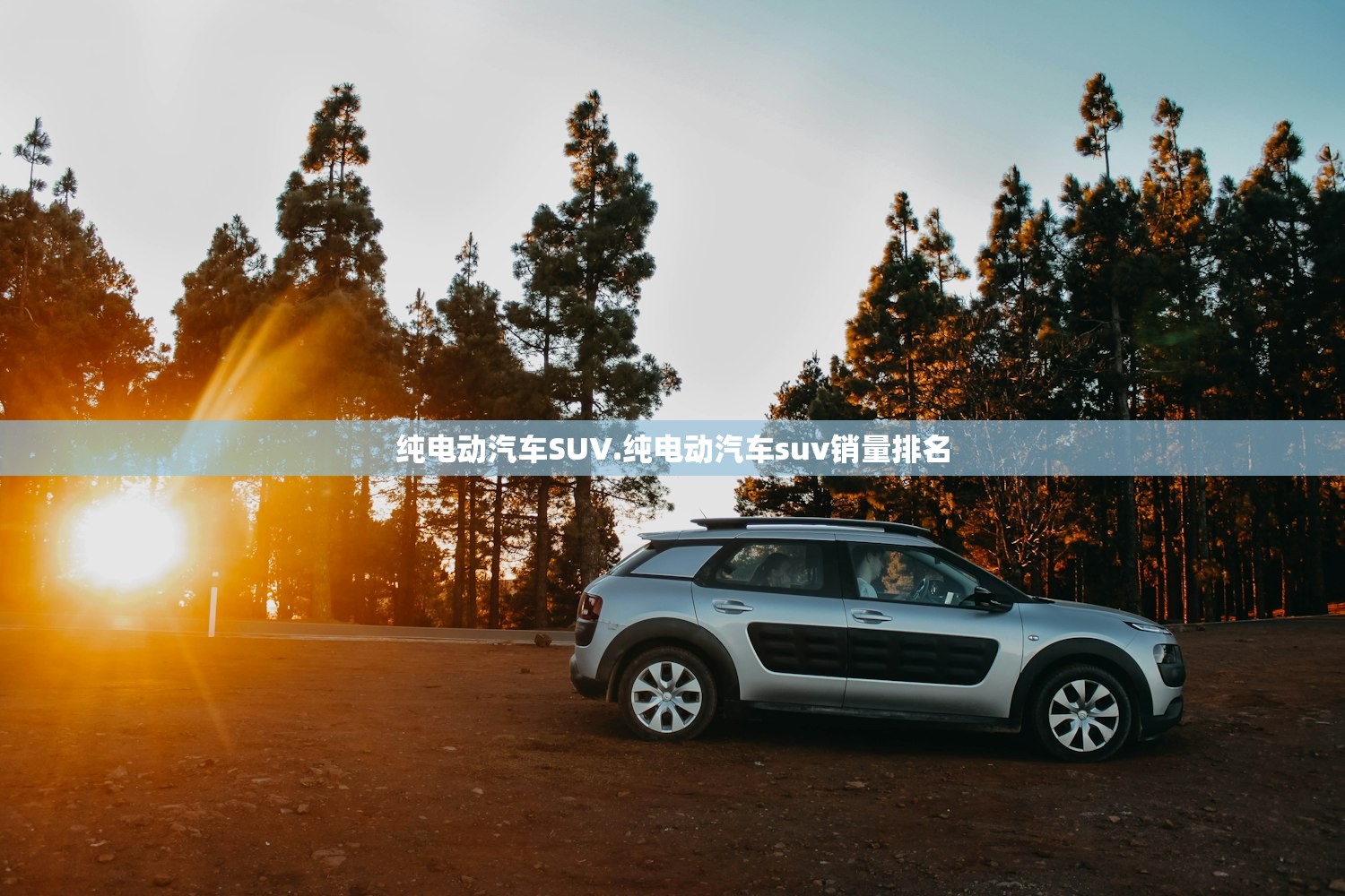 纯电动汽车SUV.纯电动汽车suv销量排名