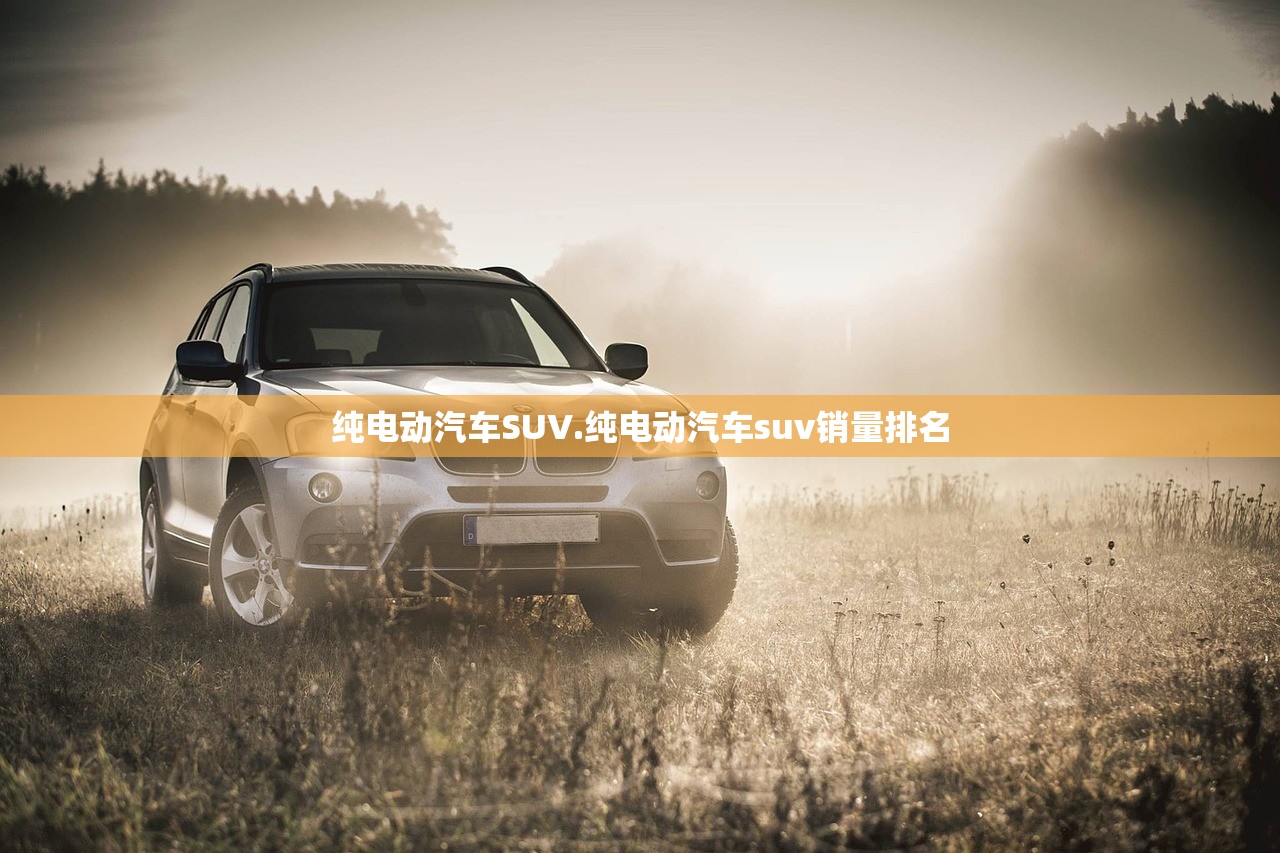 纯电动汽车SUV.纯电动汽车suv销量排名
