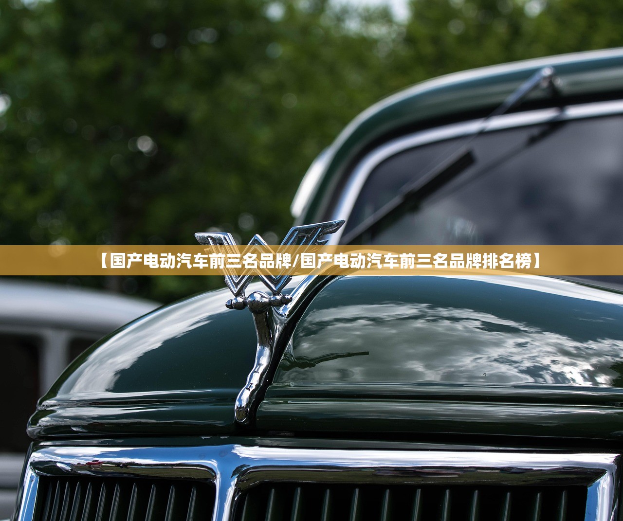 【国产电动汽车前三名品牌/国产电动汽车前三名品牌排名榜】