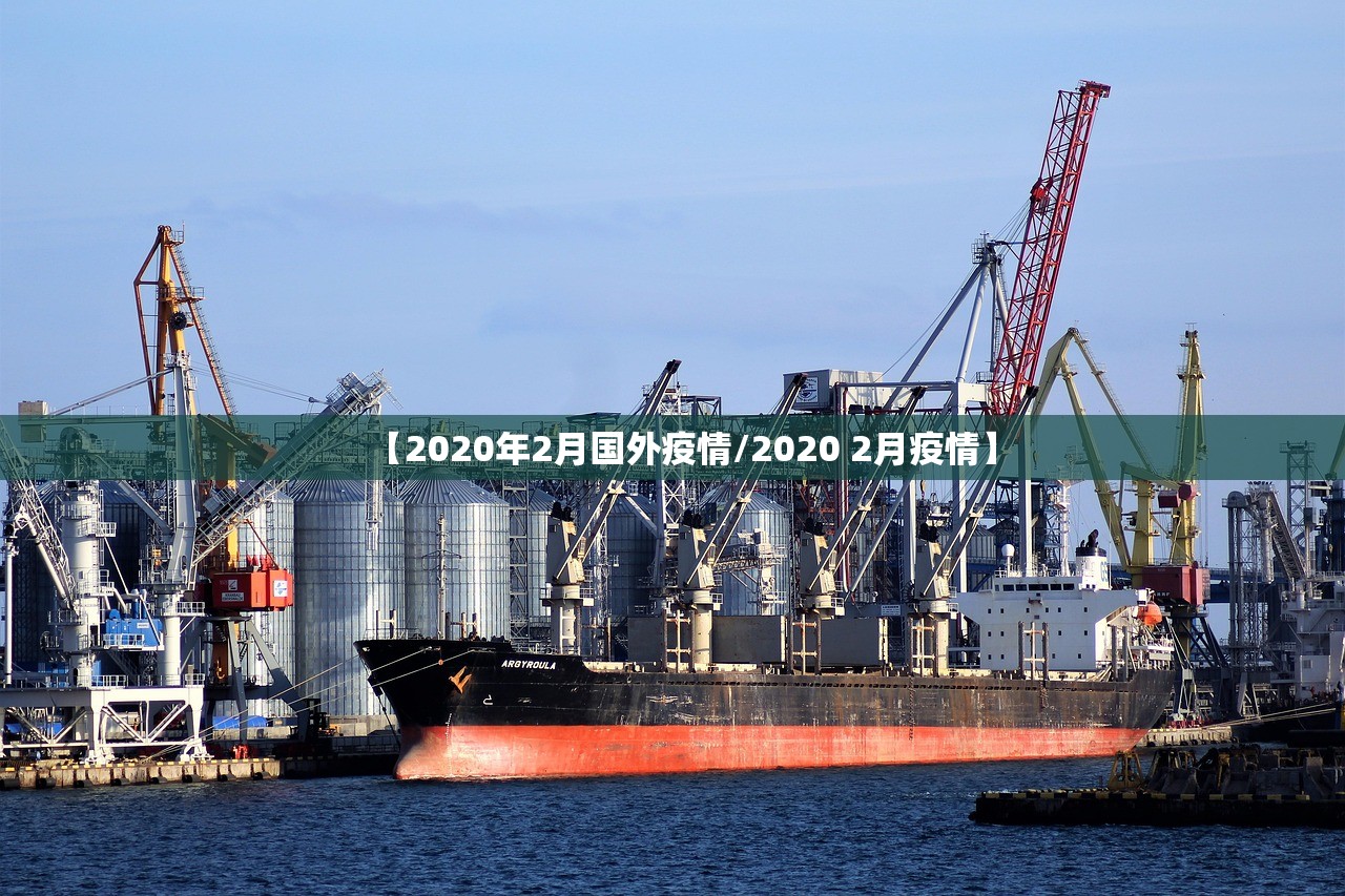 【2020年2月国外疫情/2020 2月疫情】
