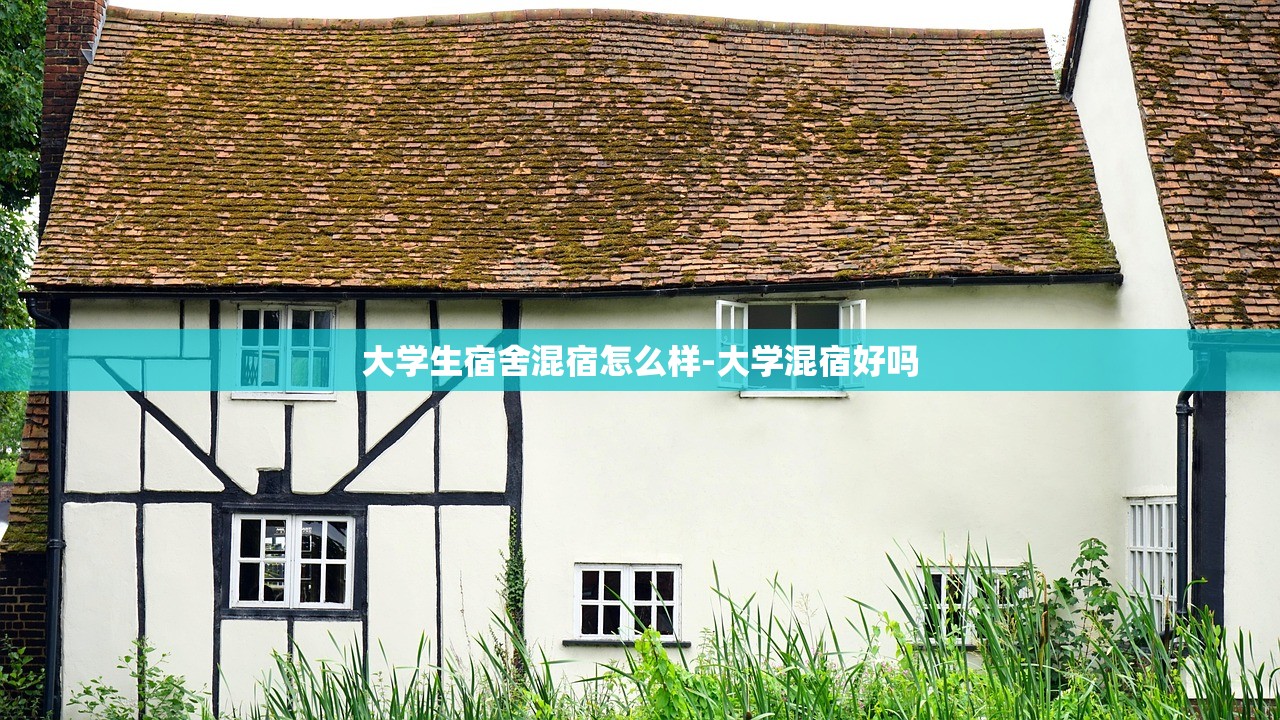 大学生宿舍混宿怎么样-大学混宿好吗