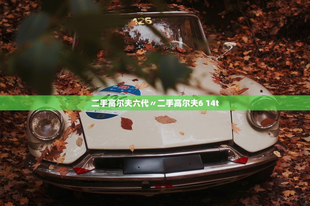 二手高尔夫六代〃二手高尔夫6 14t