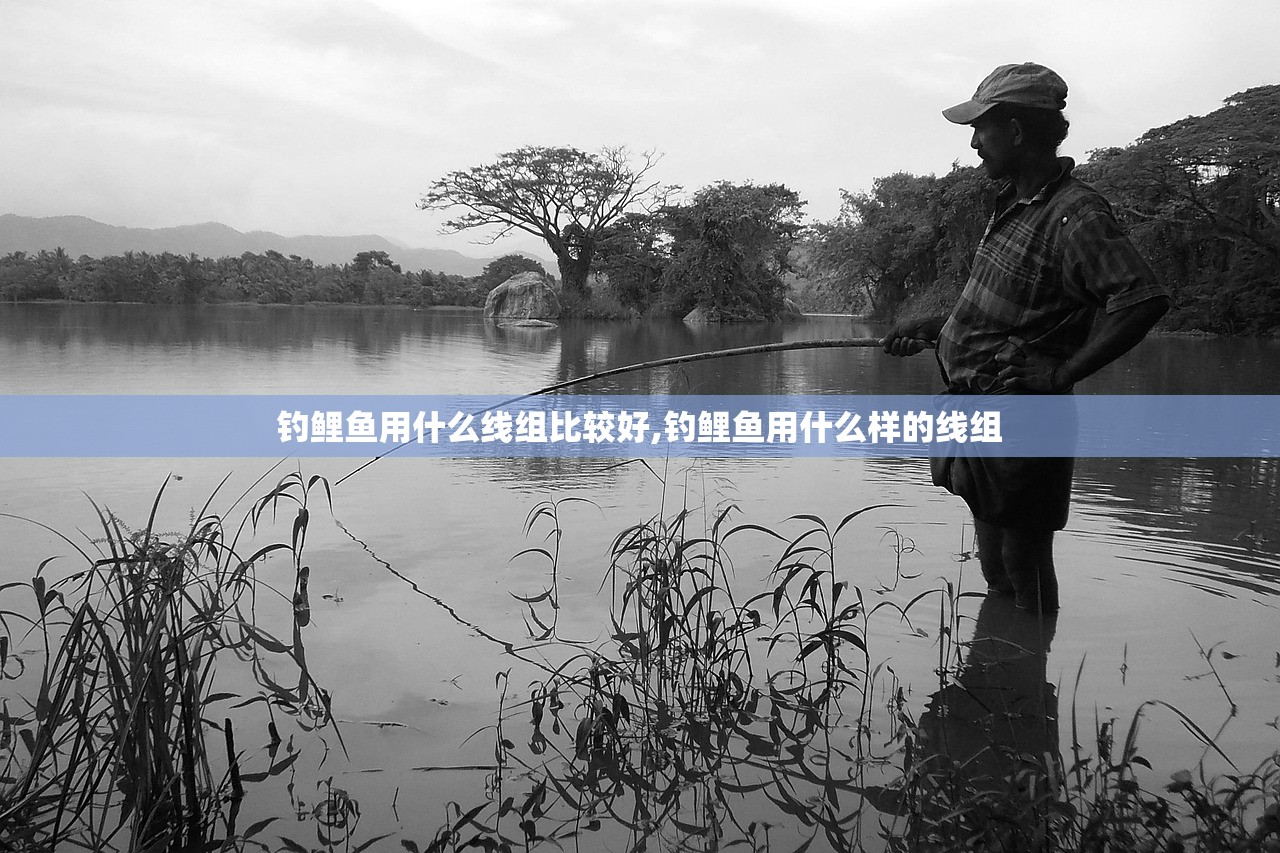 钓鲤鱼用什么线组比较好,钓鲤鱼用什么样的线组