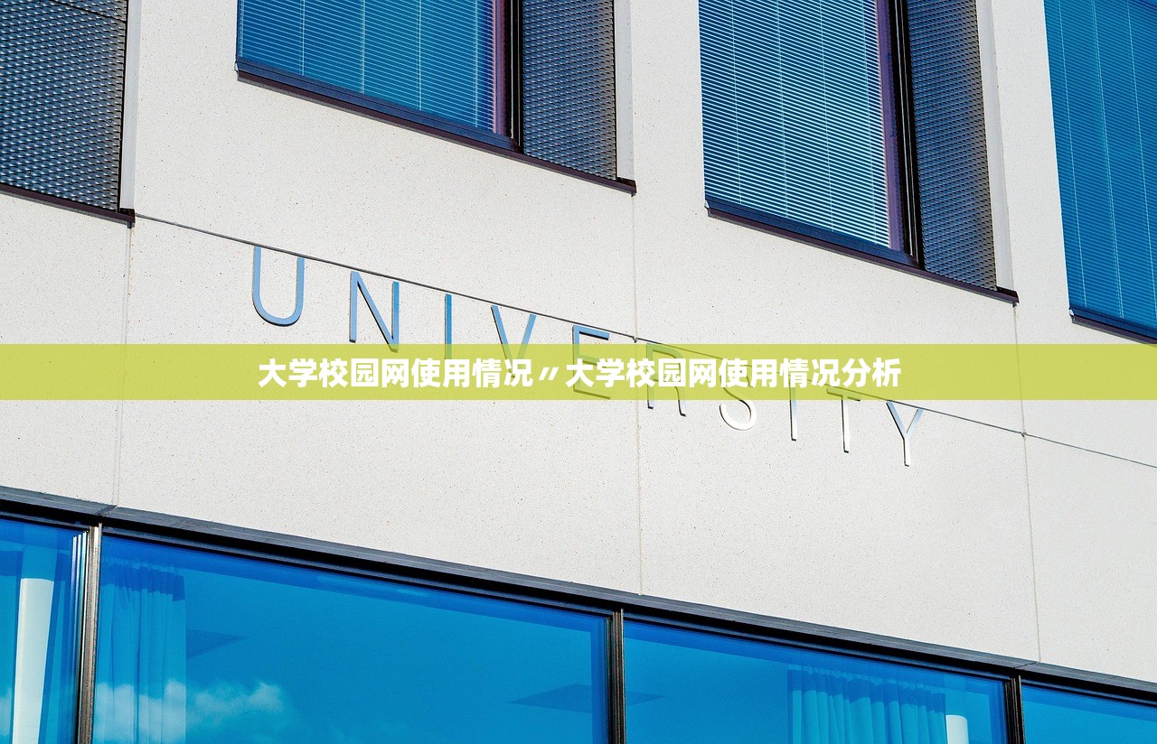 大学校园网使用情况〃大学校园网使用情况分析