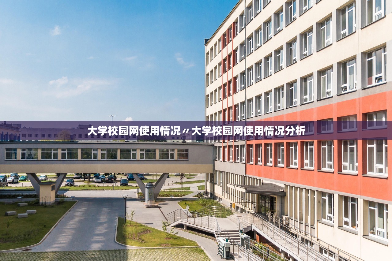 大学校园网使用情况〃大学校园网使用情况分析