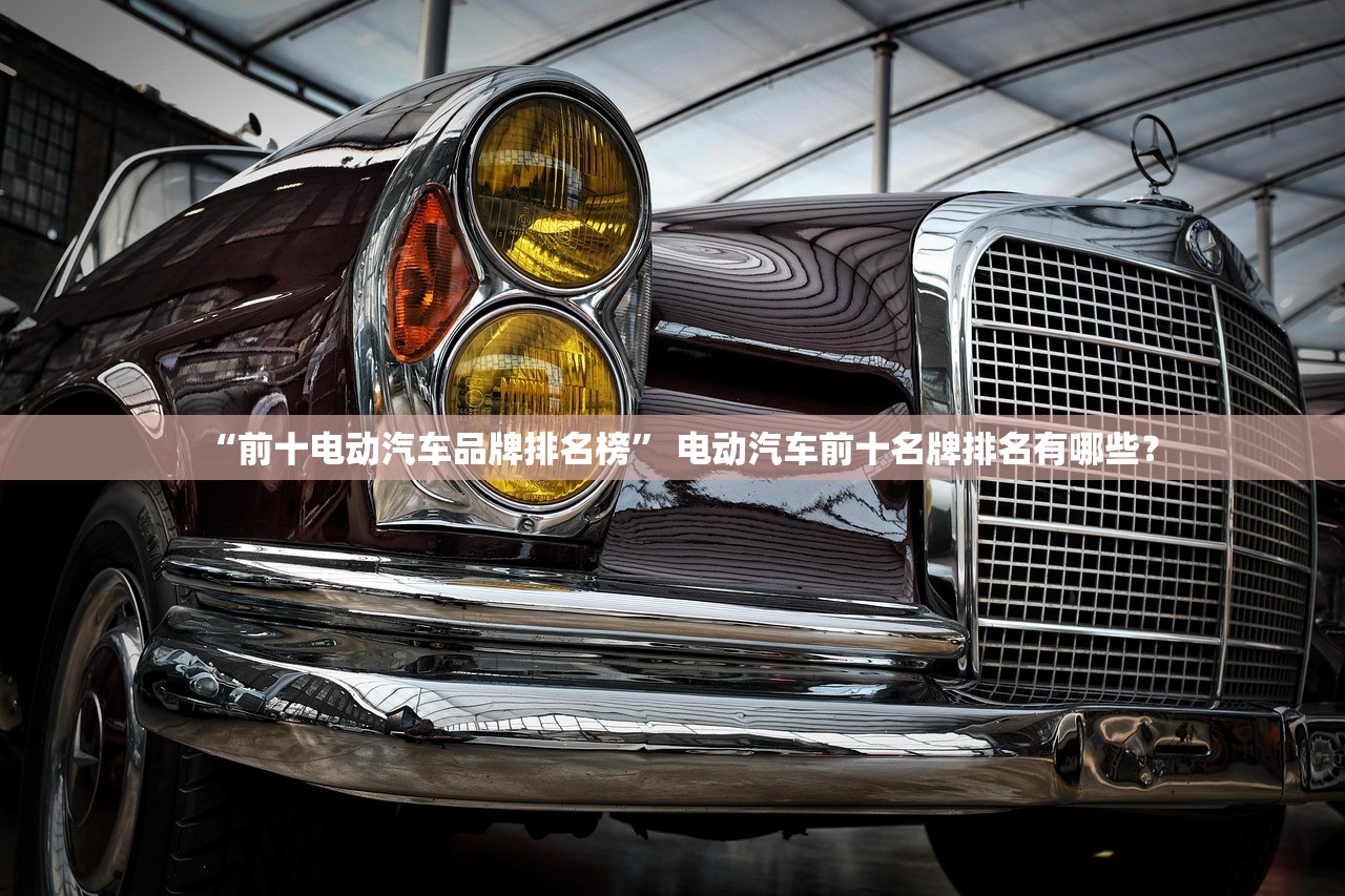 “前十电动汽车品牌排名榜” 电动汽车前十名牌排名有哪些？