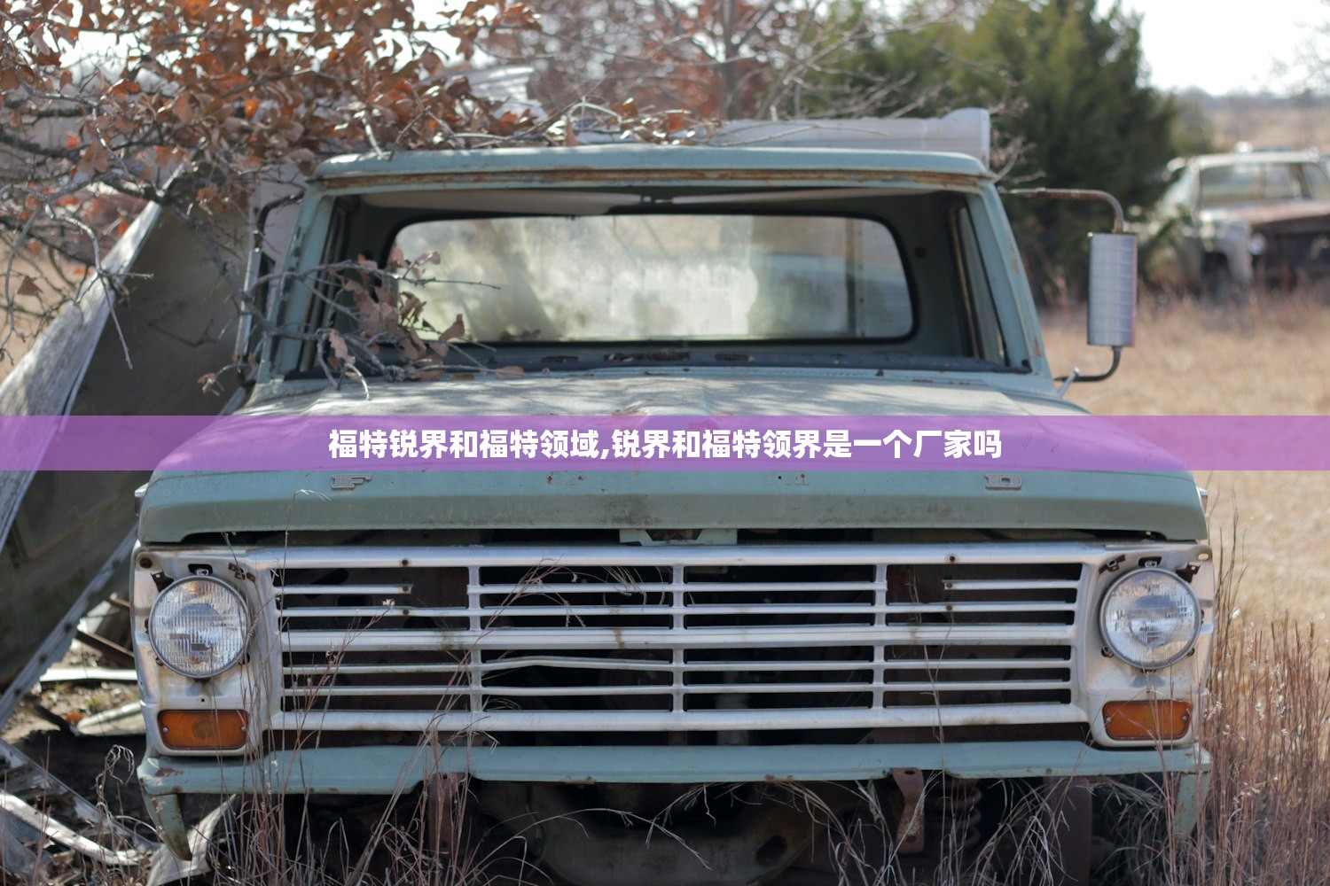 福特锐界和福特领域,锐界和福特领界是一个厂家吗