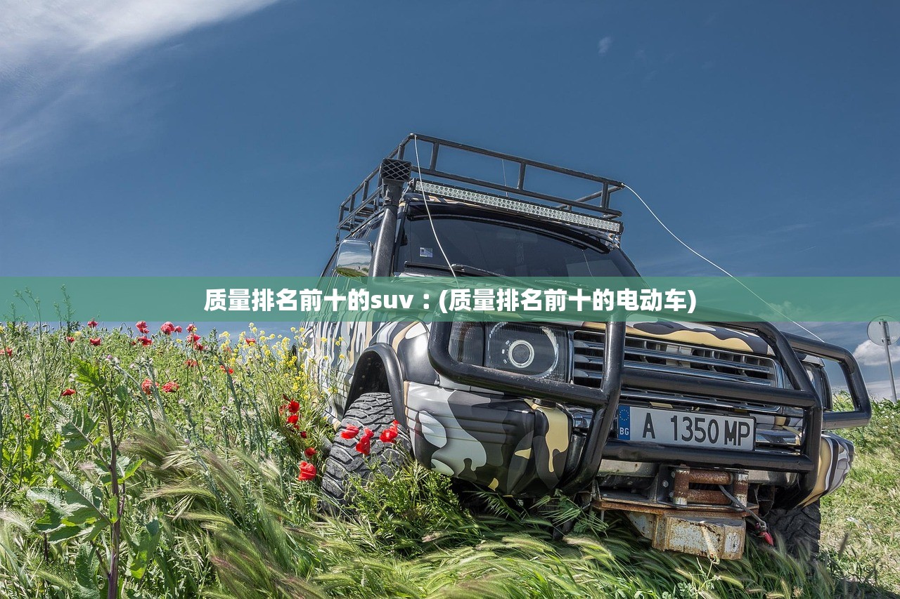 质量排名前十的suv︰(质量排名前十的电动车) 质量排名前十的suv︰(质量排名前十的电动车)